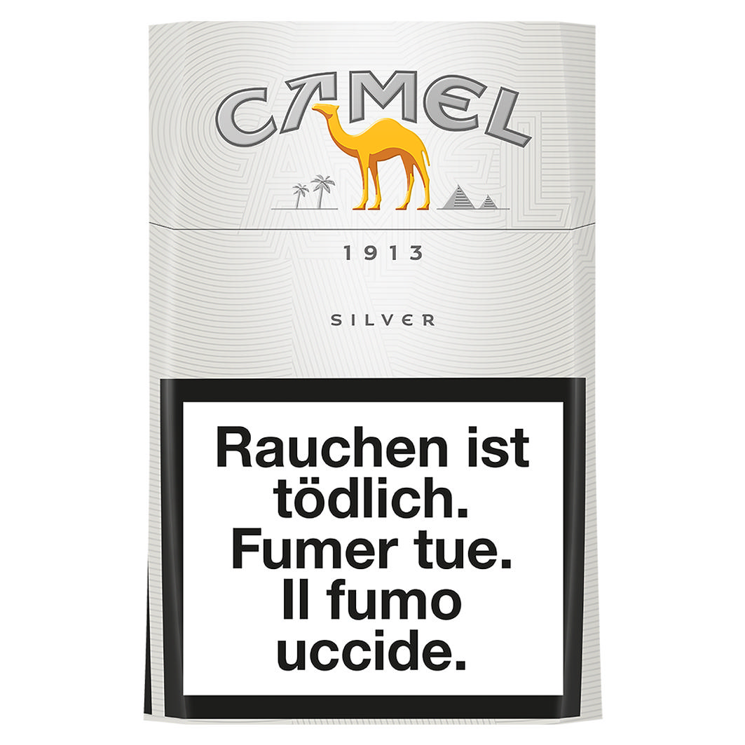 Camel Silver Box