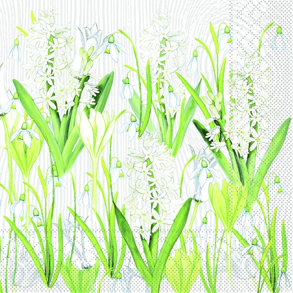 Serviette