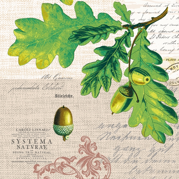 Serviette