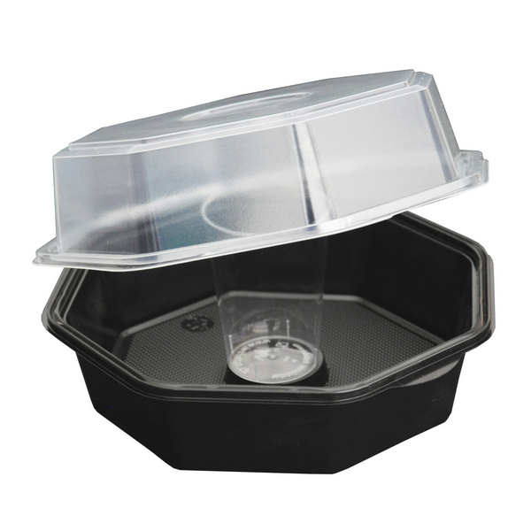 Octaview Box